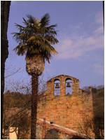 Rennes les bains (Aude) : glise et palmier